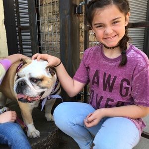 Meet your Posher, Nora